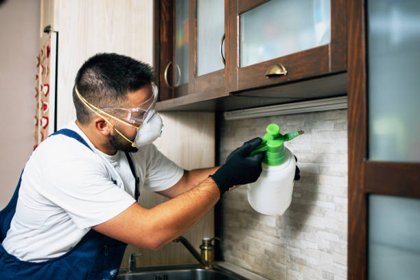 Best Termite Control Services  in Kinnelon, NJ