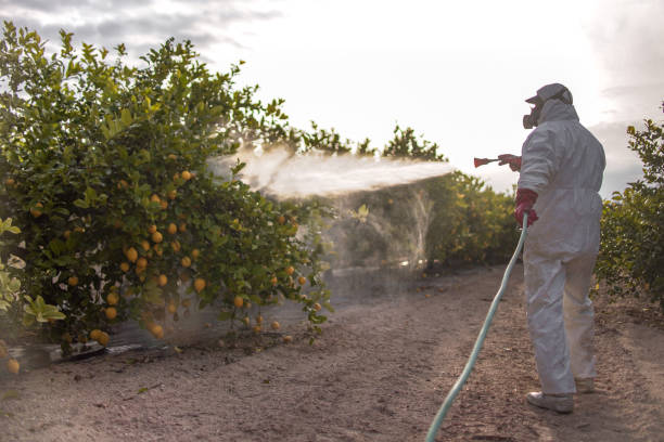 Best Bed Bug Extermination  in Kinnelon, NJ