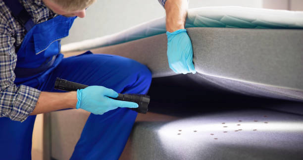 Best Insect Control  in Kinnelon, NJ
