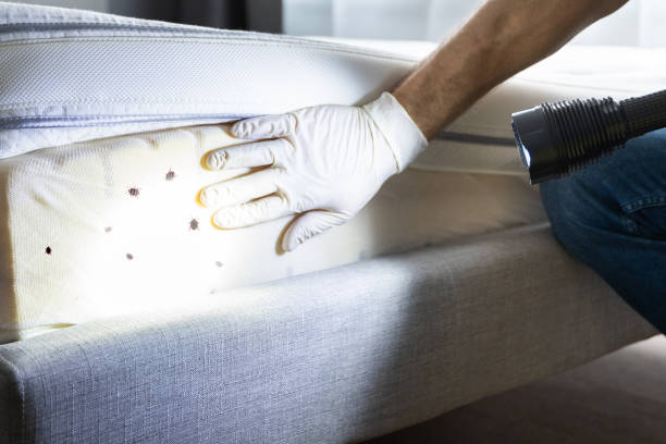 Best Flea Control Services  in Kinnelon, NJ