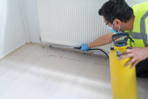 Professional Pest Control in Kinnelon, NJ