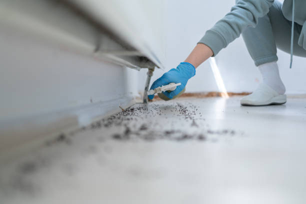 Best Bird Control  in Kinnelon, NJ