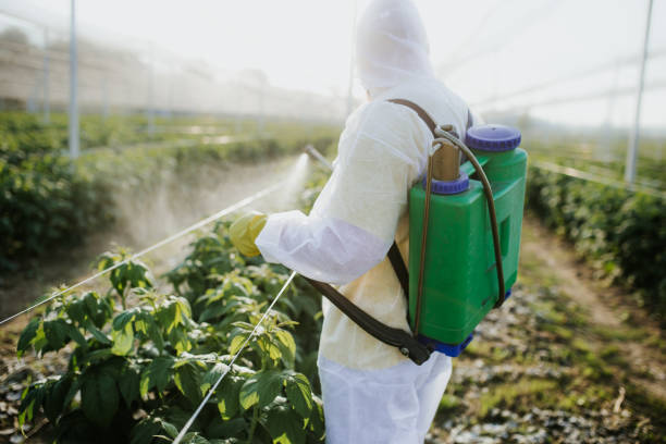 Best Best Pest Control Companies  in Kinnelon, NJ
